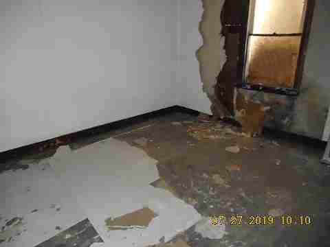 16737 Dolphin (16)_m.jpg